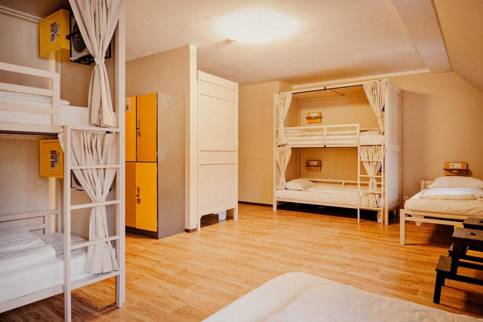 Single Bed 6-Bed Mixed Dormitory Room